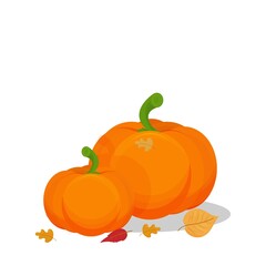 Composition with pumpkins and autumn leaves isolated on white background stock vector illustration. Harvest, Thanksgiving celebration concept