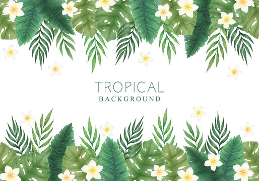 Watercolor Illustration with hand drawn monstera leaves, palm branches and exotic flowers isolated on white background. Tropical plants background design for invitation, poster, card, print