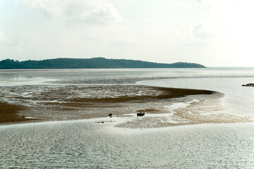 Fototapeta na wymiar 沖縄県　西表島の前良川のマングローブ群生地