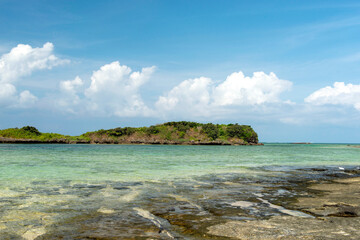 Fototapeta premium 沖縄県 西表島の星の砂海岸