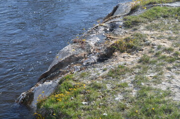 Late Spring in Yellowstone National Park: Closeup of Inkwell Spring of the Giant Group on the Edge of Firehole River in Upper Geyser Basin