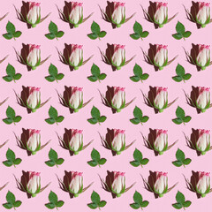 Seamless pattern with pink rose and green leaf flower with dark shadow from hard light.