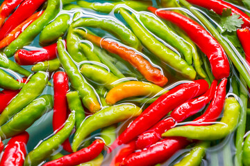 fresh  hot chilli peppers