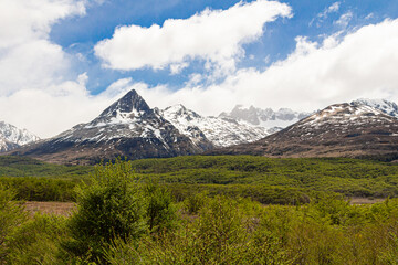 Naklejka premium Paisagem da Patagônia com sua vegetação e floresta e uma bela montanha com neve ao fundo