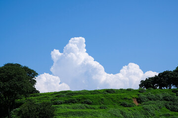 晴れた夏の空に浮かぶ入道雲