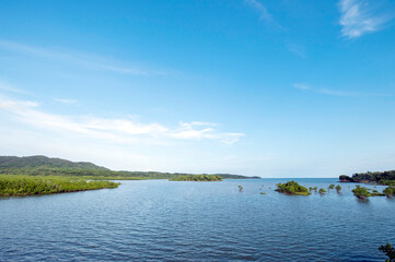 沖縄県　西表島の後良川のマングローブ群生地