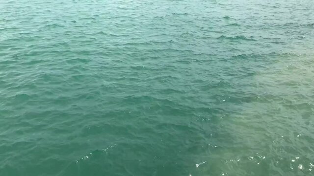 Green sea water