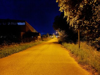 country road at night