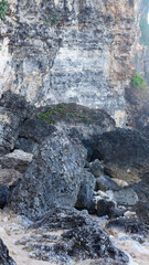 Big coral in the ocean