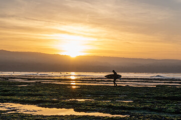 surfer on beach