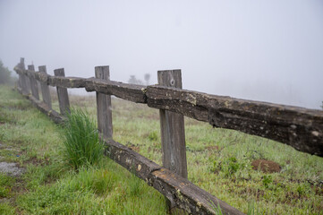 Fototapeta na wymiar fence in mist 