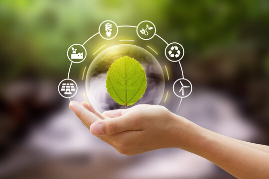 Eco friendly icon with a hand holding leaf in the bubble at green nature background