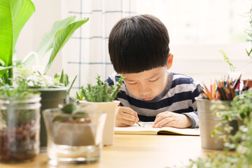 Young Asian boy studying plants, drawing cactus and journaling in notebook on wooden table...