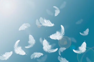 Light fluffy a white feathers floating in air, feather abstract in freedom concept background.