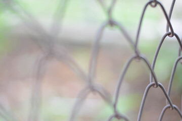 barbed wire fence