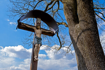 .jesus on the cross next to an old mighty tree and against a white blue sky