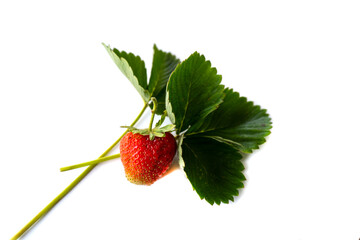 Isolated on white background strawberry, close-up photo
