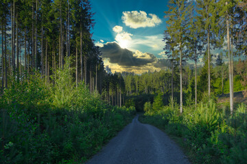 thüringer Wald bei Schmalkalden