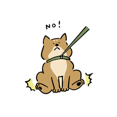お散歩を拒否する柴犬