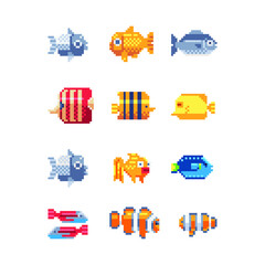 Tropical fish icon set. Flat illustration sea color tropical fish. Design various aquarium fish or tropical sea fish. Isolated pixel art 80s style illustration.