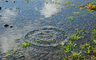 水たまり　波紋　素材