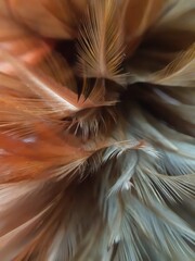 abstract background with feather