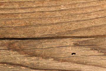 wooden desk texture background tree