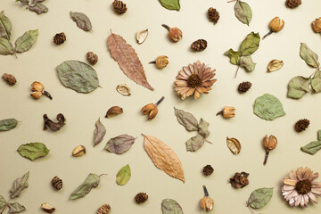 Autumn dry leaves on khaki brown background. flat lay, top view