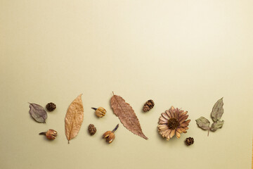 Obraz premium Autumn dry leaves on khaki brown background. flat lay, top view, copy space