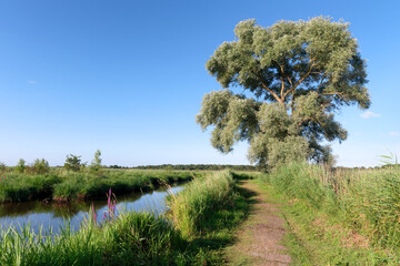 Brière Regional Natural Park in Loire Atlantique