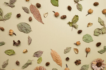 Autumn dry leaves on khaki brown background. flat lay, top view, copy space
