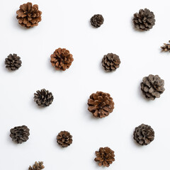 Autumn dry pine cones on white background. flat lay, top view