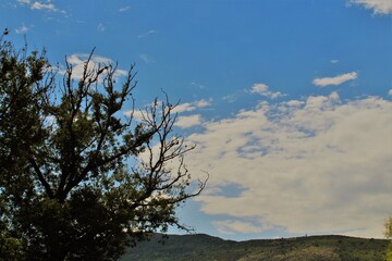 Obraz na płótnie Canvas Árbol, montañas y nubes