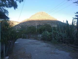 mi querido mexico
