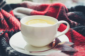 Cup of tea on red warm woolen blanket