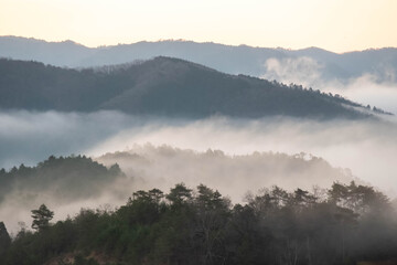 朝霧の中の兵庫の山々