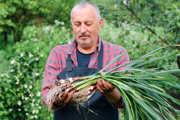 farmer holding in hands harvest of organic fresh garlic - 368938202