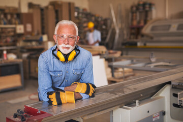 Portrait of a serious senior joiner
