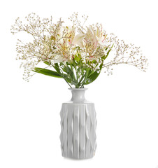 Beautiful vase with flowers on white background