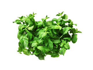 Fresh green mint on white background