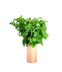 Fresh green mint on white background