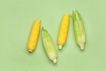 Fresh corn cobs on color background