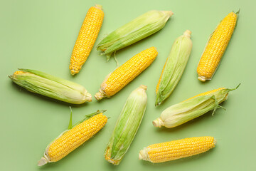 Fresh corn cobs on color background