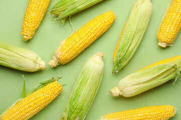 Fresh corn cobs on color background