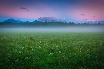 Wiese und Berge mit Nebel am Morgen im Sommer - Karwendel Gebirge