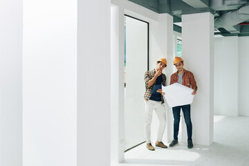 Smiling young contractor showing house blueprint to his pensive collegue