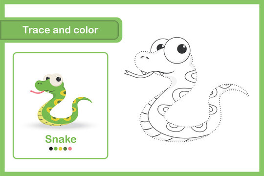Drawing worksheet Trace and colour : Snake