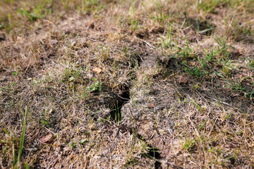 Crack in earth due to prolonged drought in the yard of a Romanian farmer.