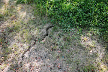 Crack in earth due to prolonged drought in the yard of a Romanian farmer.