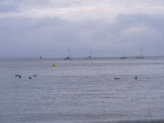 A view on the bay of la Baule, from le Pouligue. The picture was taken in summer during a cloudy day. july 2020